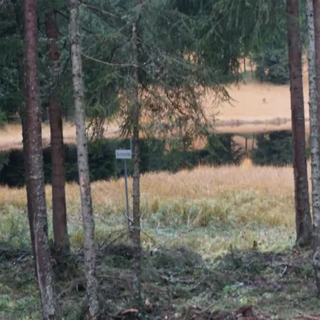 Paradies Lägenhet Arosa
